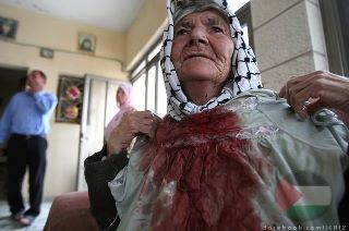 Des colons blessent une vieille dame palestinienne à coups de pierres